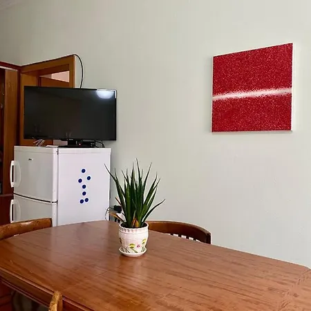 Appartamento Your Tidy & Affordable Base In Tirane! *