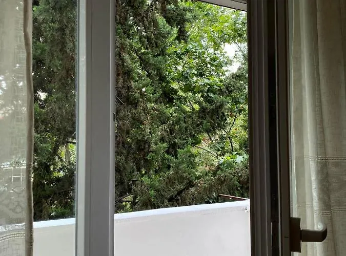 Your Tidy & Affordable Base In Tirane! Apartment