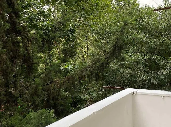 Your Tidy & Affordable Base In Tirane! Apartment