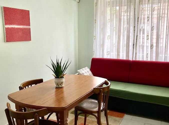 Your Tidy & Affordable Base In Tirane! Apartment